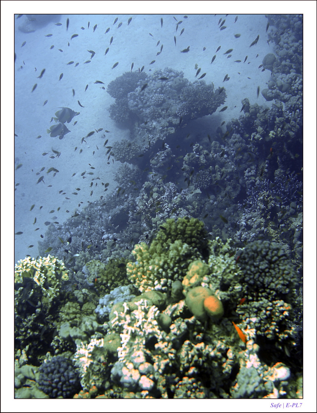 Hurghada - Juillet 2021 - 072